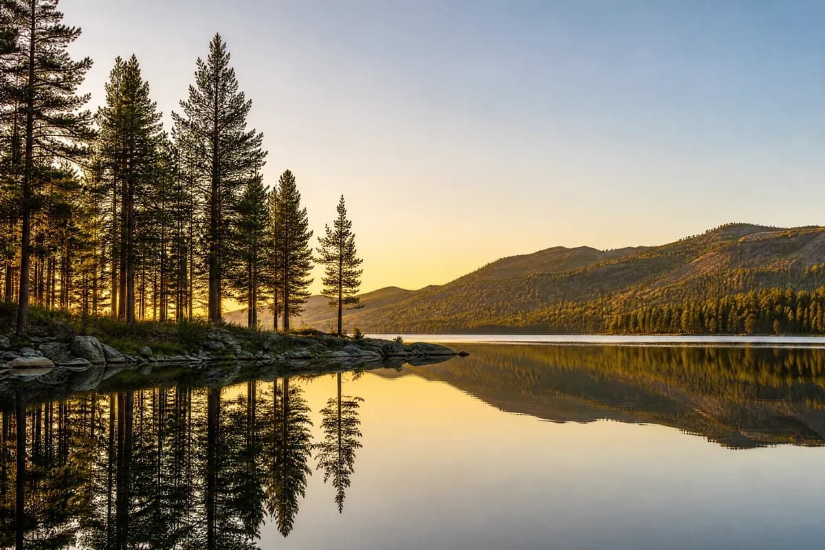 A calm lake at sunset with pines along the shore